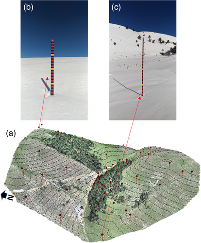 Details are in the caption following the image Details are in the caption following the image