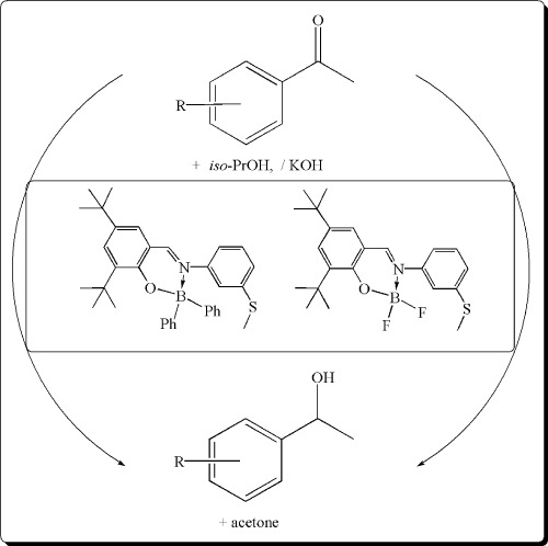 Synthesis of new boron complexes: application to transfer hydrogenation of acetophenone derivatives