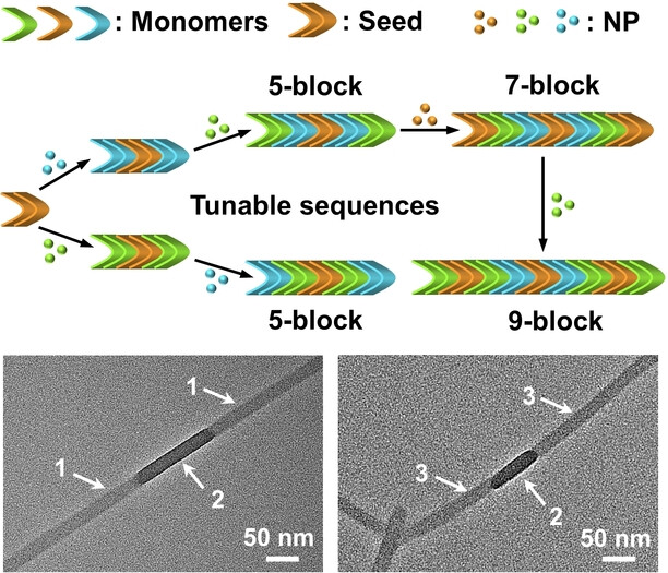 Three-Component Multiblock 1D Supramolecular Copolymers of Ir(III) Complexes with Controllable Sequences