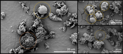 Details are in the caption following the image Details are in the caption following the image