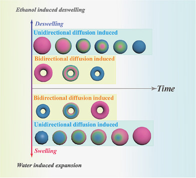Inverse Opal Torus-Shaped Photonic Microobjects with Superior Stimulus-Responsive Properties to Their Spherical Equivalents