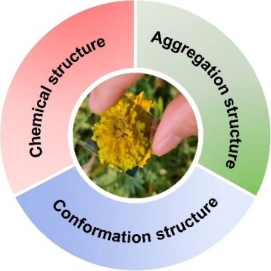 P-type Polymers in Semitransparent Organic Photovoltaics
