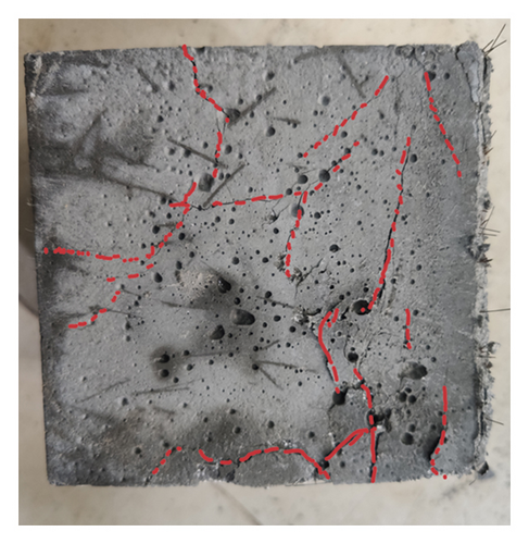 Details are in the caption following the image Details are in the caption following the image