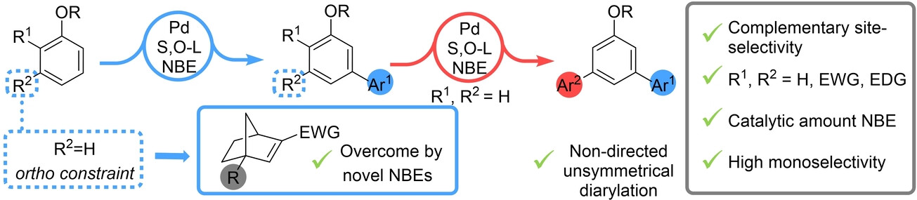 S,O-Ligand Promoted meta-C−H Arylation of Anisole Derivatives via Palladium/Norbornene Catalysis
