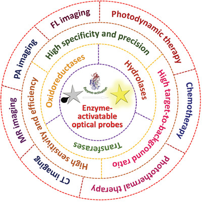 Most recent advances on enzyme-activatable optical probes for bioimaging Issue 2, 2021