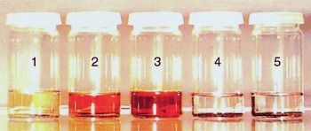 Farbstoffbeladung von amphiphilen Poly(organosiloxan)-Nanopartikeln