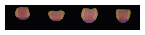 Details are in the caption following the image Details are in the caption following the image