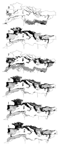 Details are in the caption following the image