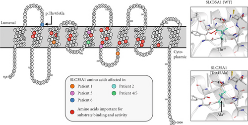 Details are in the caption following the image Details are in the caption following the image