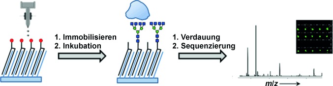 Analysis of Microarrays by MALDI-TOF MS