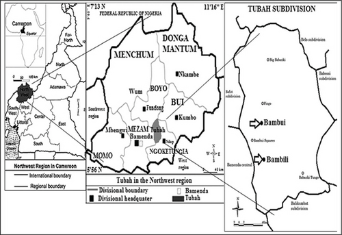 Details are in the caption following the image Details are in the caption following the image