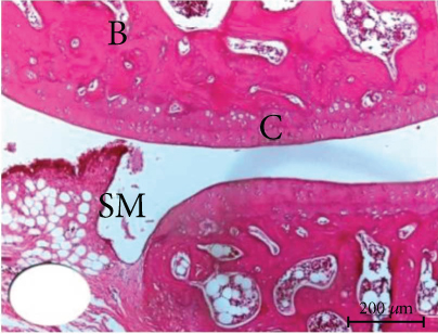 Details are in the caption following the image