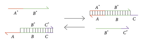 Details are in the caption following the image Details are in the caption following the image