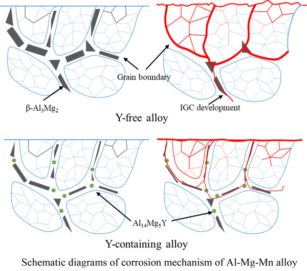Enhancing the intergranular corrosion resistance of high Mg-alloyed Al–Mg alloy by Y addition