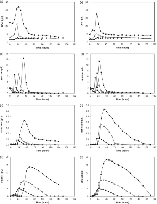 Potato peel waste fermentation by Rhizopus oryzae to produce lactic acid and ethanol