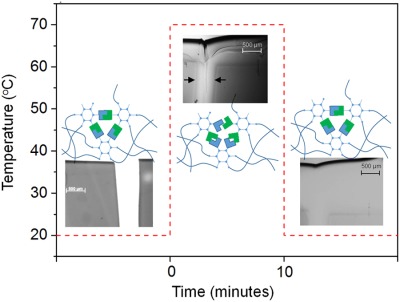 Healable dual organic–inorganic crosslinked sol–gel based polymers: Crosslinking density and tetrasulfide content effect