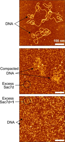 Details are in the caption following the image