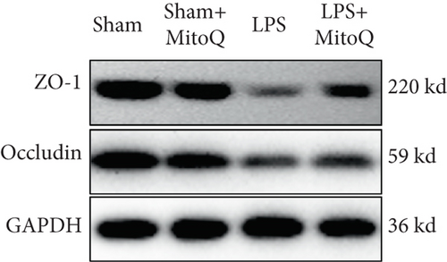 Details are in the caption following the image