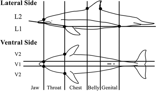 Details are in the caption following the image Details are in the caption following the image