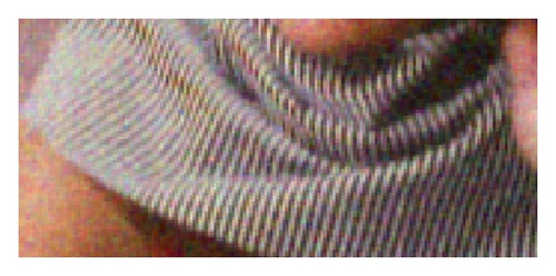 Details are in the caption following the image