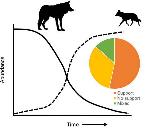 Identifying mesopredator release in multi-predator systems: a review of evidence from North America