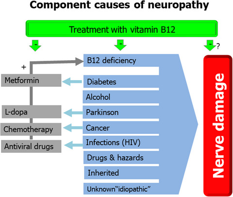 Association between neuropathy and B-vitamins: A systematic review and meta-analysis