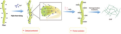 A More Efficient Fenton Oxidation Method with High Shear Mixing for the Preparation of Cellulose Nanofibers