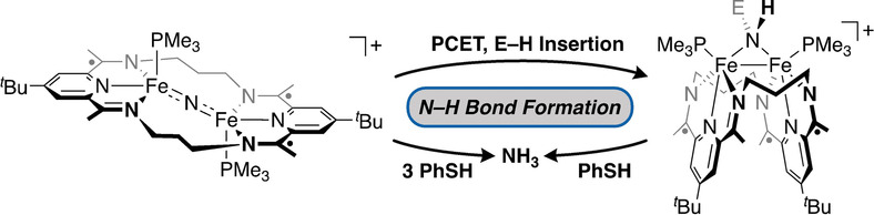N−H Bond Formation at a Diiron Bridging Nitride