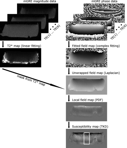 Details are in the caption following the image Details are in the caption following the image