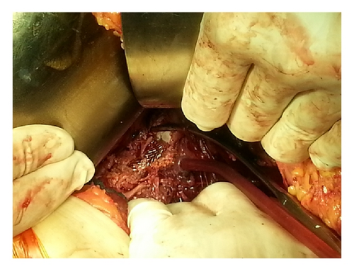 Details are in the caption following the image Details are in the caption following the image