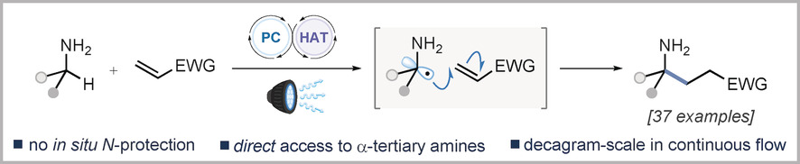 Photocatalytic α-Tertiary Amine Synthesis via C−H Alkylation of Unmasked Primary Amines