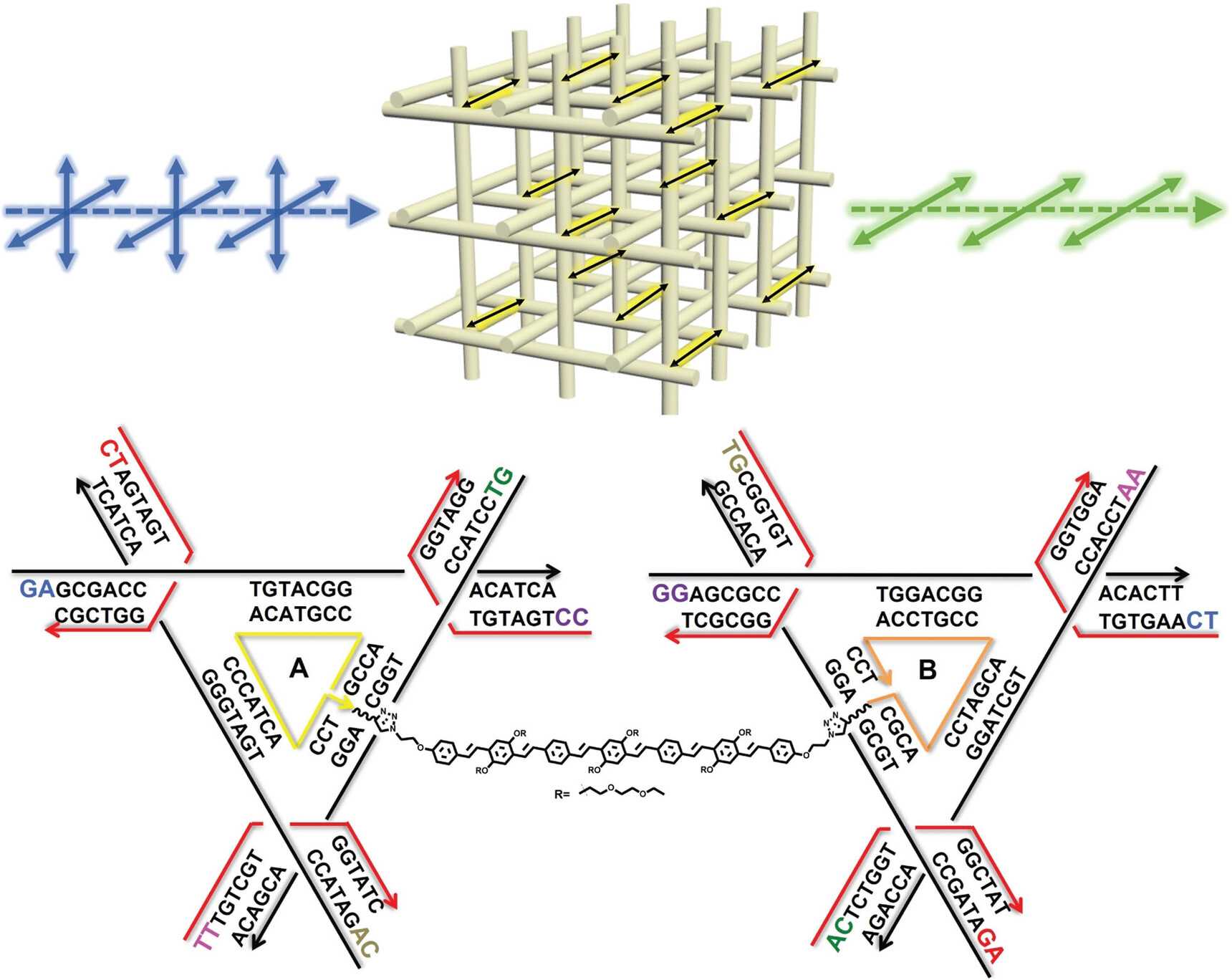 Orienting an Organic Semiconductor into DNA 3D Arrays by Covalent Bonds