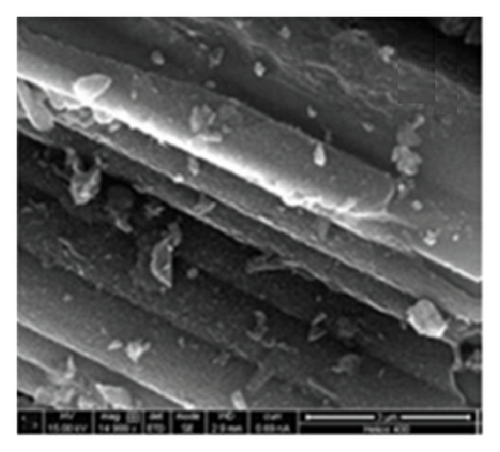 Details are in the caption following the image