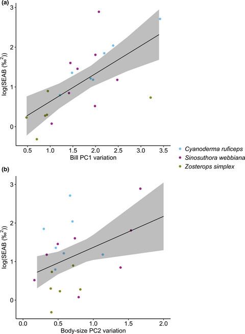 Niche–trait relationships at individual and population level in three co-occurring passerine species