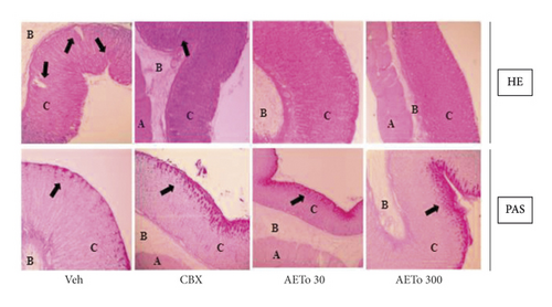 Details are in the caption following the image