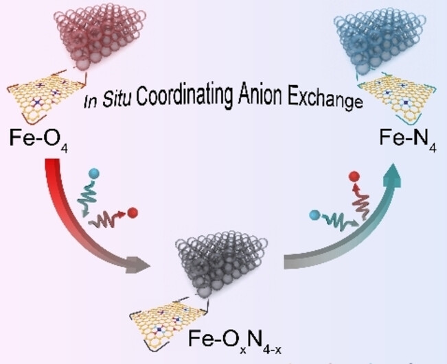 Constructing Fe-N4 Sites through Anion Exchange-mediated Transformation of Fe Coordination Environments in Hierarchical Carbon Support for Efficient Oxygen Reduction