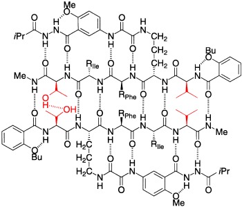 Sequence-Selective Molecular Recognition between β Sheets