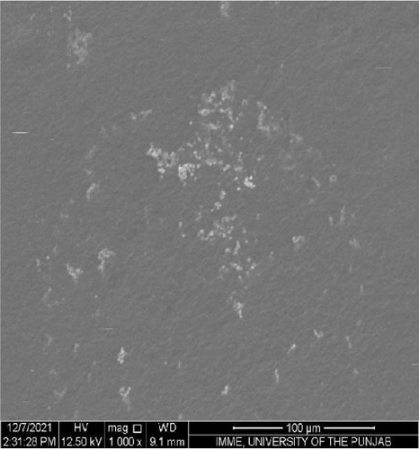 Details are in the caption following the image
