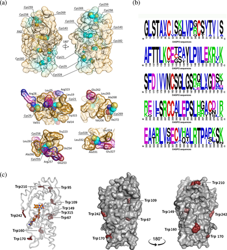 Details are in the caption following the image