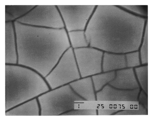 Details are in the caption following the image