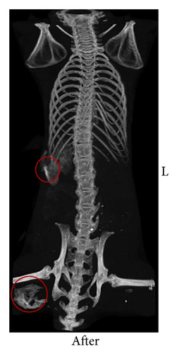 Details are in the caption following the image