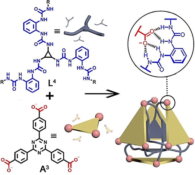 A Hydrogen-Bonded Ravel Assembled by Anion Coordination