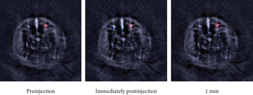 Details are in the caption following the image Details are in the caption following the image