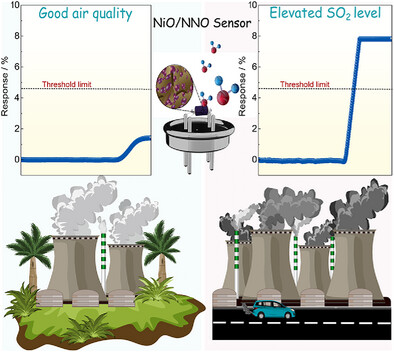 Unraveling the Synergy of Interfacial Engineering in In Situ Prepared NiO/NdNiO3 for ppb-Level SO2 Sensing: Mechanistic and First-Principles Insights