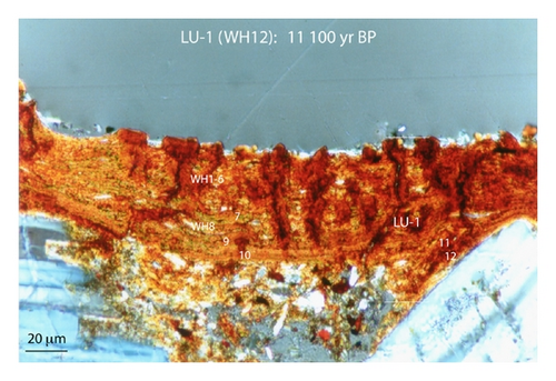 Details are in the caption following the image