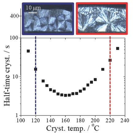 Crystallization/Melting Kinetics and Morphological Analysis of Polyphenylene Sulfide