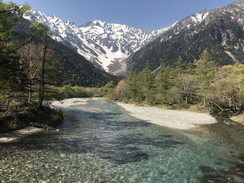 Macroinvertebrate communities in streams with contrasting water sources in the Japanese Alps
