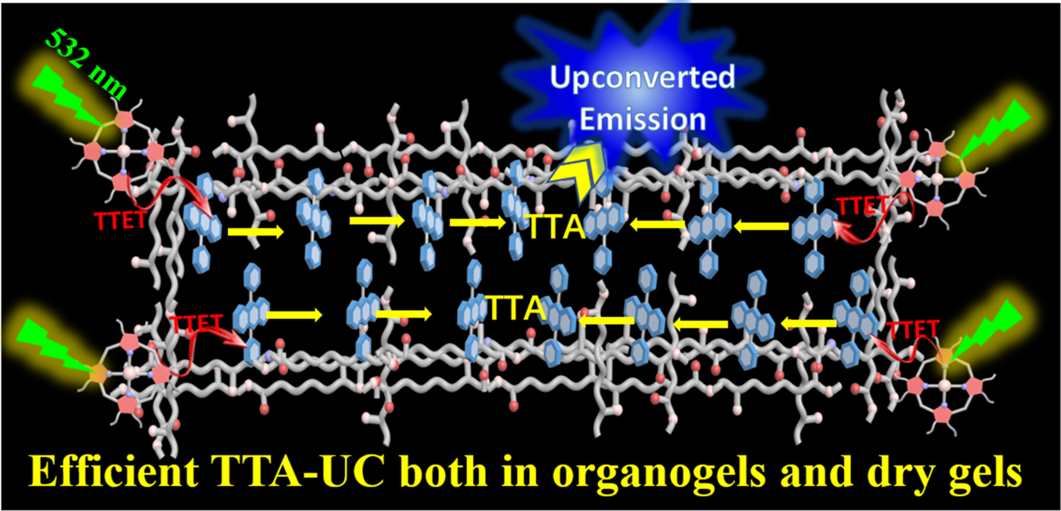 Achieving Efficient TTA-UC Both in Organogels and Solvent-Free Dry Gels by Co-assembling Annihilator with Gelators