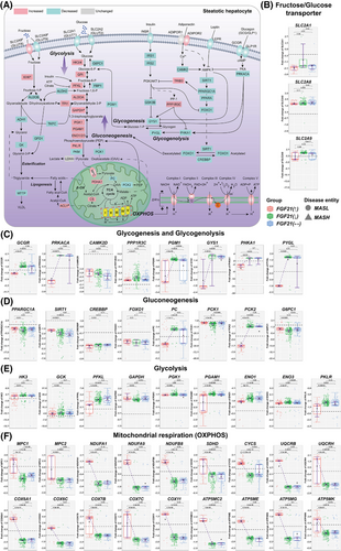 Details are in the caption following the image Details are in the caption following the image