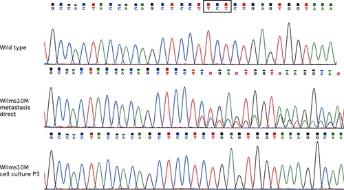 Details are in the caption following the image Details are in the caption following the image